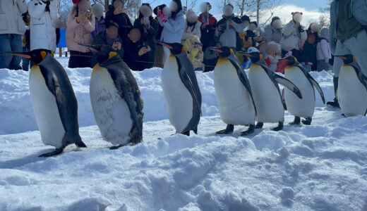 冬の旭川をリュックひとつで旅行してきた